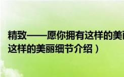 精致——愿你拥有这样的美丽细节（关于精致——愿你拥有这样的美丽细节介绍）