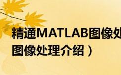 精通MATLAB图像处理（关于精通MATLAB图像处理介绍）