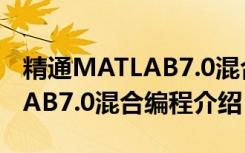 精通MATLAB7.0混合编程（关于精通MATLAB7.0混合编程介绍）