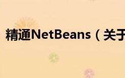 精通NetBeans（关于精通NetBeans介绍）