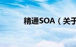 精通SOA（关于精通SOA介绍）