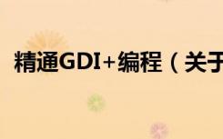 精通GDI+编程（关于精通GDI+编程介绍）