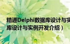 精通Delphi数据库设计与实例开发（关于精通Delphi数据库设计与实例开发介绍）