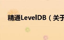 精通LevelDB（关于精通LevelDB介绍）