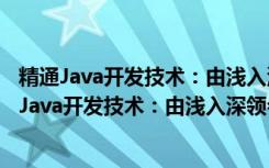 精通Java开发技术：由浅入深领会高效开发之道（关于精通Java开发技术：由浅入深领会高效开发之道介绍）