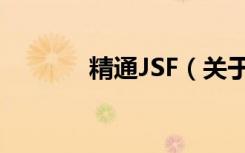 精通JSF（关于精通JSF介绍）