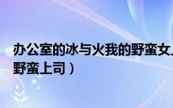 办公室的冰与火我的野蛮女上司小说（办公室的冰与火我的野蛮上司）