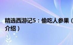 精选西游记5：偷吃人参果（关于精选西游记5：偷吃人参果介绍）