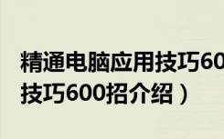 精通电脑应用技巧600招（关于精通电脑应用技巧600招介绍）