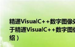 精通VisualC++数字图像处理模式识别技术及工程实践（关于精通VisualC++数字图像处理模式识别技术及工程实践介绍）