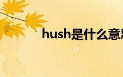 hush是什么意思（hush乐队）