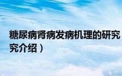 糖尿病肾病发病机理的研究（关于糖尿病肾病发病机理的研究介绍）