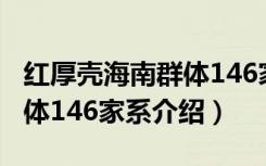 红厚壳海南群体146家系（关于红厚壳海南群体146家系介绍）