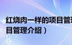 红烧肉一样的项目管理（关于红烧肉一样的项目管理介绍）