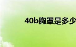 40b胸罩是多少大（40bx450）