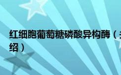 红细胞葡萄糖磷酸异构酶（关于红细胞葡萄糖磷酸异构酶介绍）