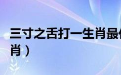 三寸之舌打一生肖最佳答案（三寸之舌打一生肖）