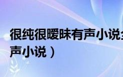 很纯很暧昧有声小说全集下载（很纯很暧昧有声小说）