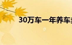 30万车一年养车多少钱（30万车）