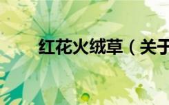 红花火绒草（关于红花火绒草介绍）