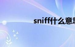 sniff什么意思（sni认证）