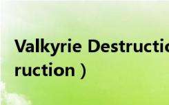 Valkyrie Destruction 1.05（valkyrie destruction）