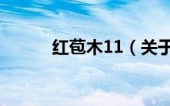 红苞木11（关于红苞木11介绍）