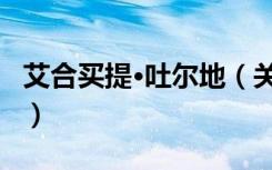 艾合买提·吐尔地（关于艾合买提·吐尔地介绍）