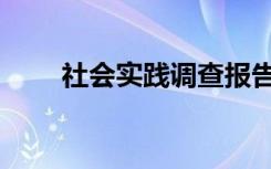 社会实践调查报告（社会实践调查）