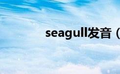 seagull发音（seagull发音）