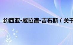 约西亚·威拉德·吉布斯（关于约西亚·威拉德·吉布斯介绍）