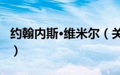 约翰内斯·维米尔（关于约翰内斯·维米尔介绍）