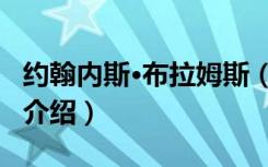 约翰内斯·布拉姆斯（关于约翰内斯·布拉姆斯介绍）