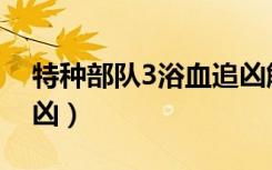 特种部队3浴血追凶解说（特种部队3浴血追凶）