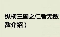 纵横三国之仁者无敌（关于纵横三国之仁者无敌介绍）