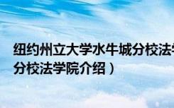 纽约州立大学水牛城分校法学院（关于纽约州立大学水牛城分校法学院介绍）