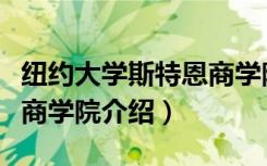 纽约大学斯特恩商学院（关于纽约大学斯特恩商学院介绍）