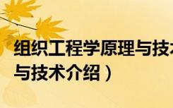 组织工程学原理与技术（关于组织工程学原理与技术介绍）