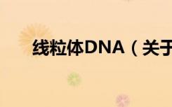 线粒体DNA（关于线粒体DNA介绍）