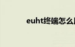 euht终端怎么用（euht终端）