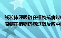 线粒体呼吸链在植物抗病过敏反应中的作用（关于线粒体呼吸链在植物抗病过敏反应中的作用介绍）