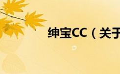 绅宝CC（关于绅宝CC介绍）