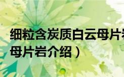 细粒含炭质白云母片岩（关于细粒含炭质白云母片岩介绍）