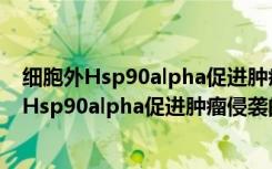 细胞外Hsp90alpha促进肿瘤侵袭的分子机制（关于细胞外Hsp90alpha促进肿瘤侵袭的分子机制介绍）