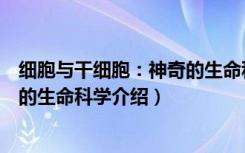 细胞与干细胞：神奇的生命科学（关于细胞与干细胞：神奇的生命科学介绍）