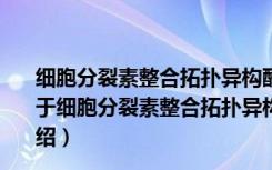 细胞分裂素整合拓扑异构酶调控植物干细胞的分子机理（关于细胞分裂素整合拓扑异构酶调控植物干细胞的分子机理介绍）