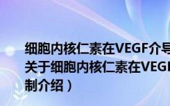 细胞内核仁素在VEGF介导的血管新生中的作用及其机制（关于细胞内核仁素在VEGF介导的血管新生中的作用及其机制介绍）