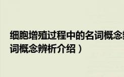 细胞增殖过程中的名词概念辨析（关于细胞增殖过程中的名词概念辨析介绍）