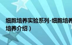 细胞培养实验系列-细胞培养（关于细胞培养实验系列-细胞培养介绍）