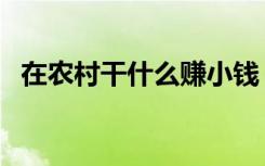 在农村干什么赚小钱（在农村干什么挣钱）